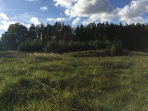 419c90_4e1f78bbb63247c7bac8133ea859cfe9~mv2_d_3264_2448_s_4_2