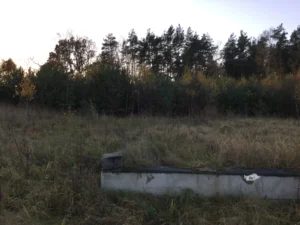 419c90_6954de1cd10d4eea8288bda70008081a~mv2_d_3264_2448_s_4_2