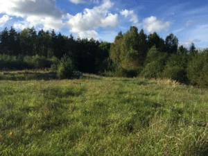 419c90_819a079fa9f8492d9e2643abcd557d30~mv2_d_3264_2448_s_4_2