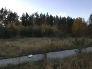 419c90_99fe8ea449d34f04bebf5969266aa3b8~mv2_d_3264_2448_s_4_2