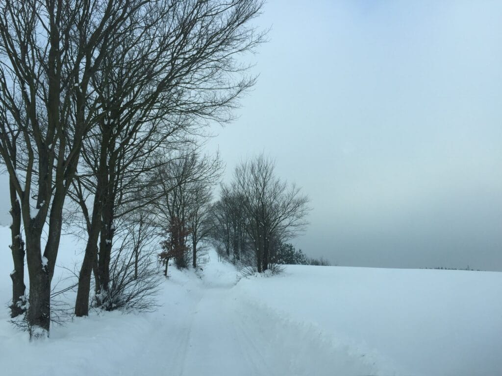 419c90_48fe58514a024e109e4f9836e09415e3~mv2_d_2048_1536_s_2