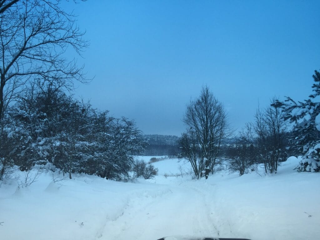 419c90_84e703c696094c40a6ea53c49614bc01~mv2_d_2048_1536_s_2