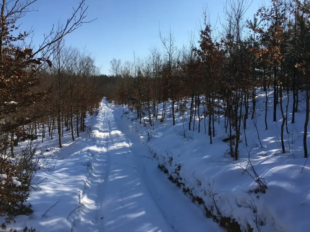 419c90_9f675f712c504a2887ae976867c49799~mv2_d_4032_3024_s_4_2