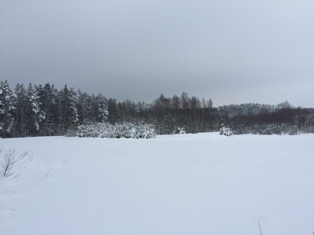 419c90_a222c7b07e124035af5d3c93fac90f6e~mv2_d_2048_1536_s_2